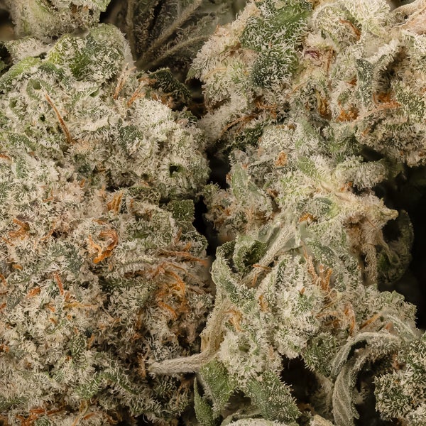 Lucky Farms - Purple Punch (smalls) - Image 2