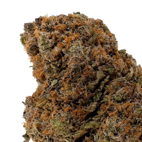 Lucky Farms - Rockstar - Image 4