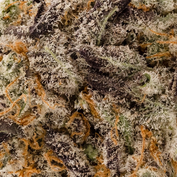 Lucky Farms - Zkittles - Image 5