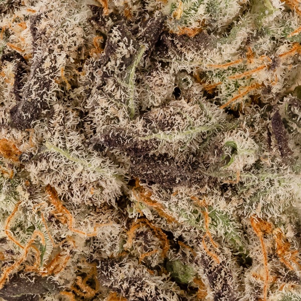 Lucky Farms - Zkittles - Image 6