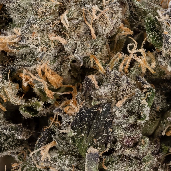 Superdank - Cereal Punch - Image 3