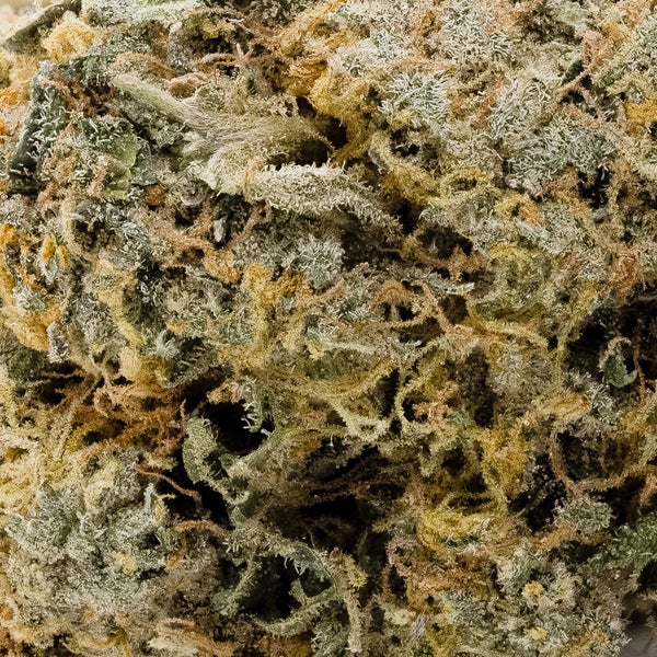 Superdank - Dough Lato - Image 3