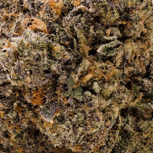 Hoot Cannabis - Grape Gum - Image 6