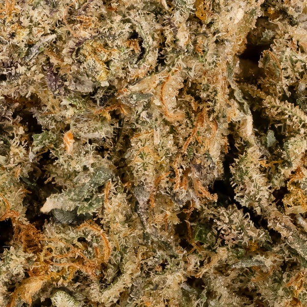 Hoot Cannabis - Grape Gum - Image 7