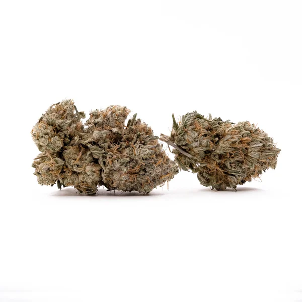 Dollar Treez - Jack Hammer - Image 2
