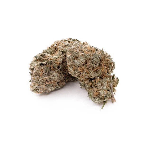 Dollar Treez - Jack Hammer - Image 3