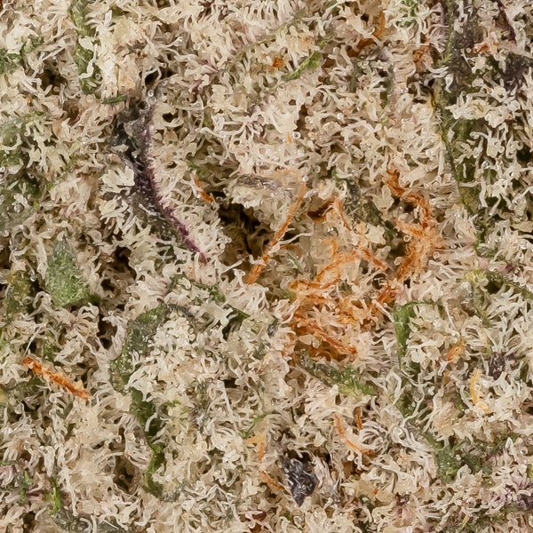 Jungle Ridge - Miracle Alien Cookies (smalls) - Image 2