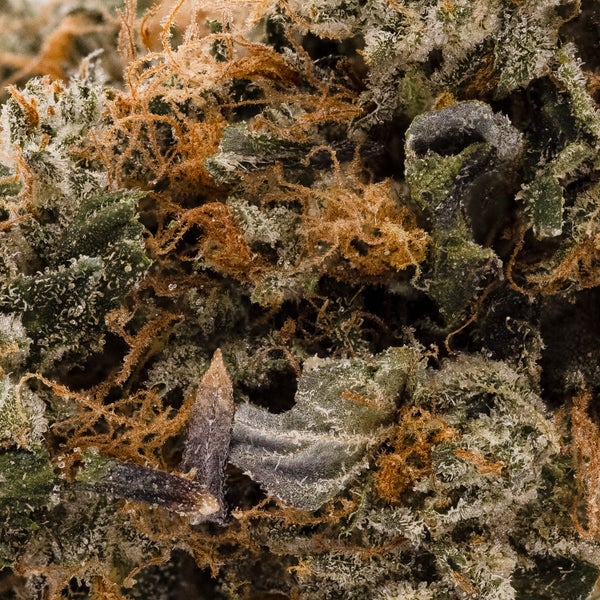 Lucky Farms - Pink Death - Image 5