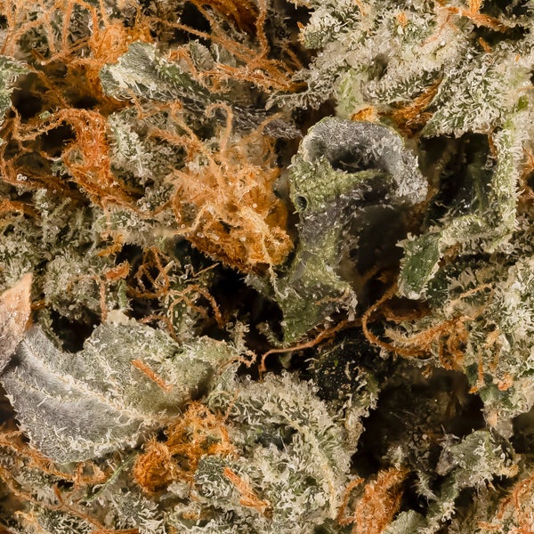 Lucky Farms - Pink Death - Image 6