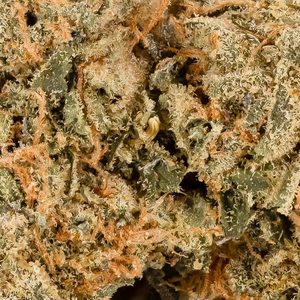Jungle Ridge - Pink Tuna Kush - Image 3