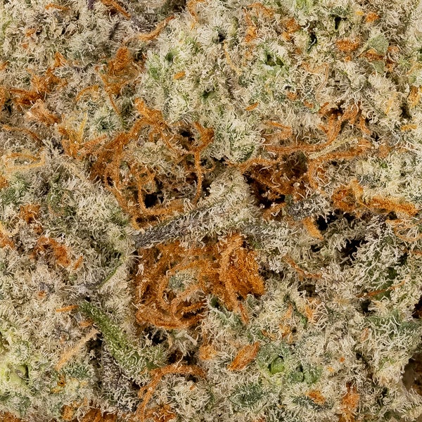 Lucky Farms - Platinum Kush Breath - Image 3