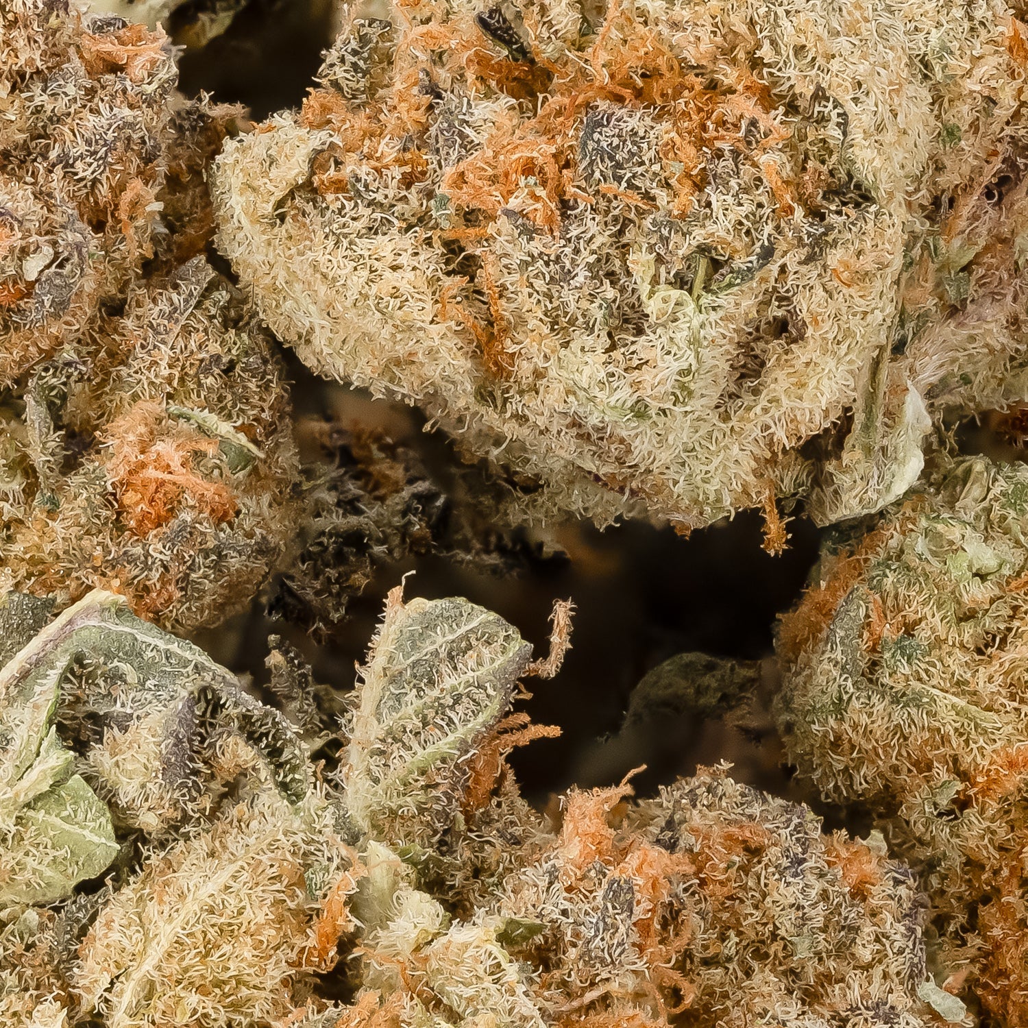 Wedding Cake (smalls) (Peoples Choice) - Image 2