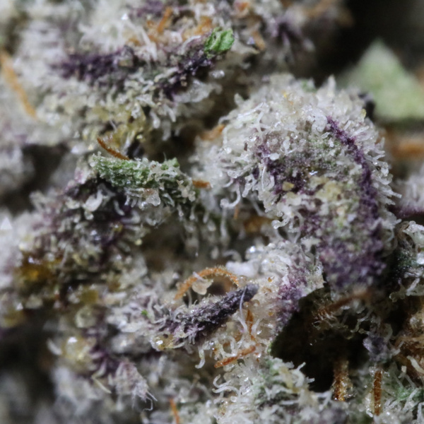 MuM's Cannabis - Alien Space Cookies (Smalls) - Image 3