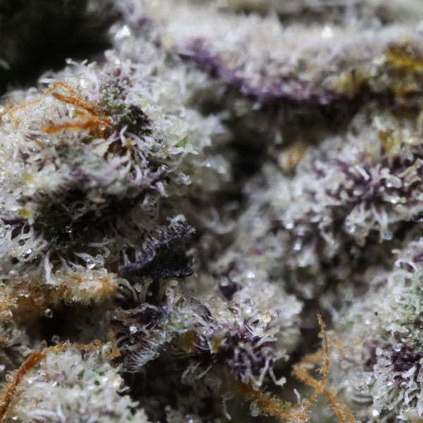 MuM's Cannabis - Alien Space Cookies (Smalls) - Image 2