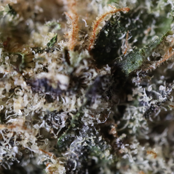MuM's Cannabis - Cake Bomb (Smalls) - Image 3