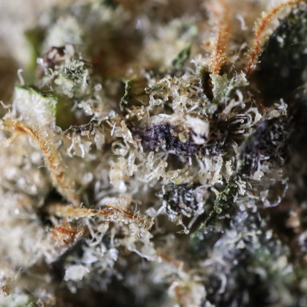 MuM's Cannabis - Cake Bomb (Smalls) - Image 2