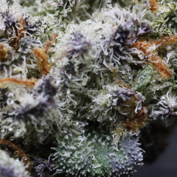 MuM's Cannabis - Kush Mints (Smalls) - Image 3