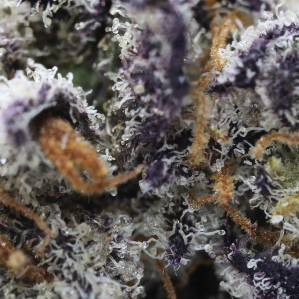 MuM's Cannabis - Kush Mints (Smalls) - Image 2