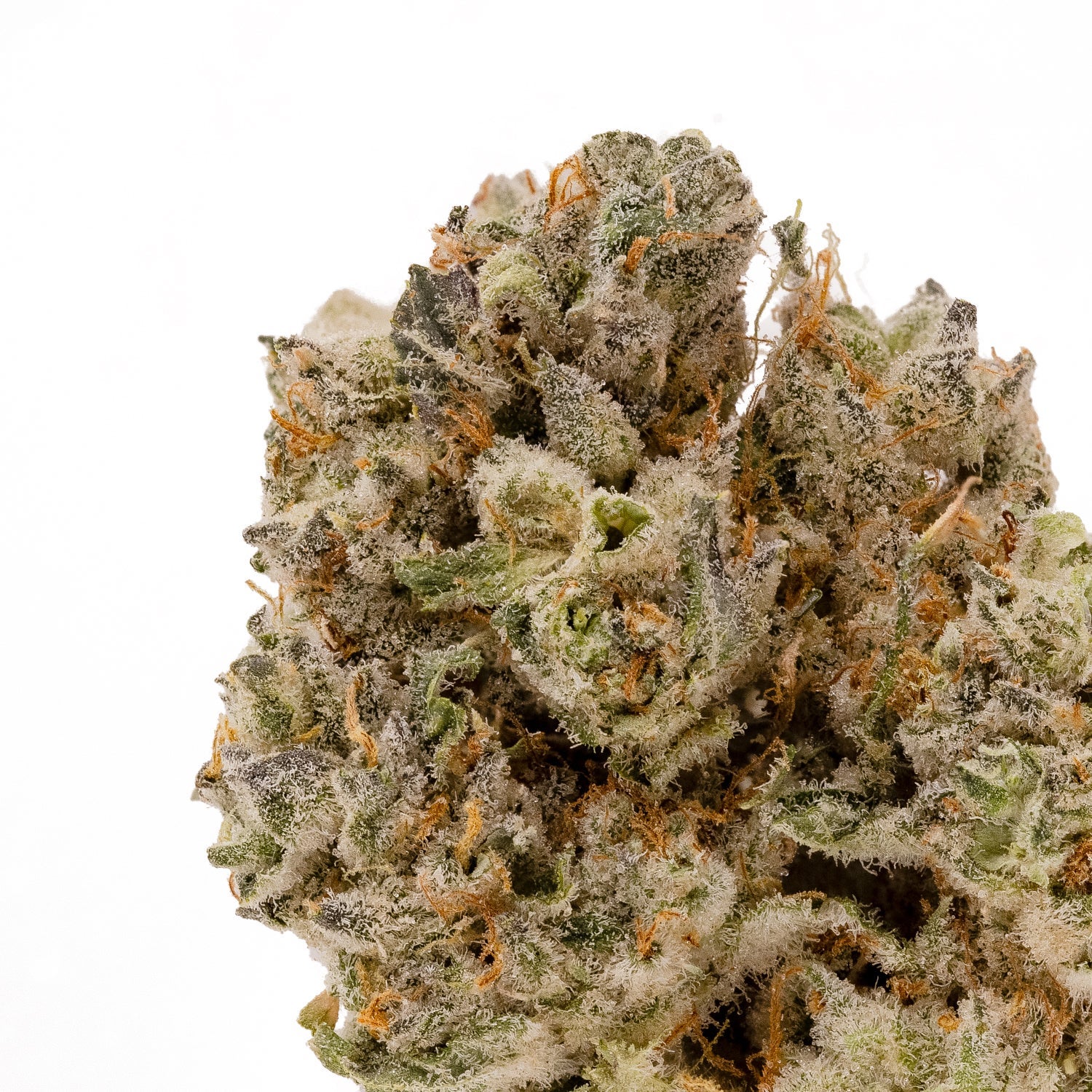 Hoot Cannabis - Tenacious - Image 3