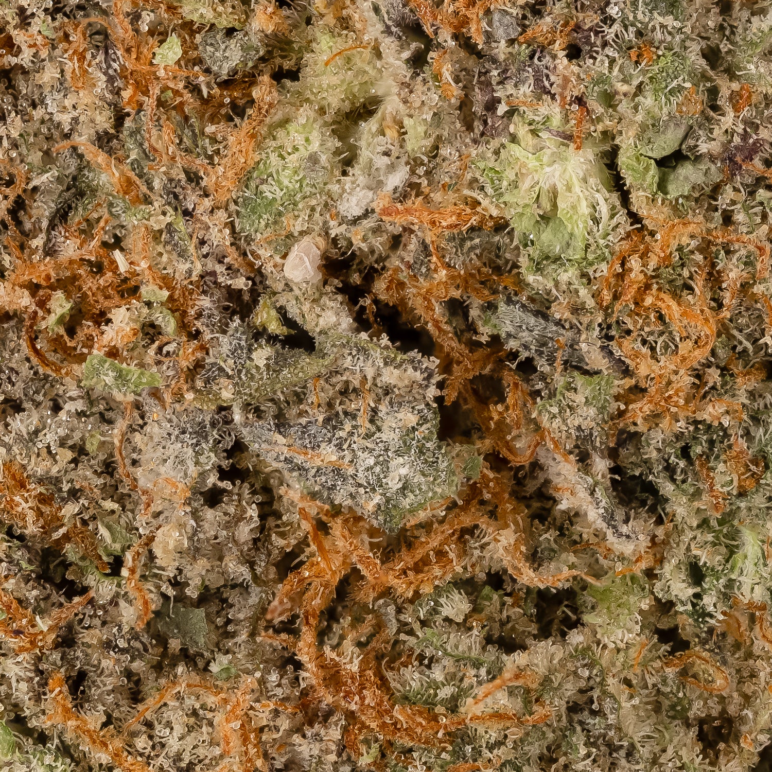 Superdank - Loud Cake - Image 6