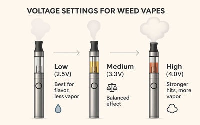 Best Voltage for Vaping Weed Flavour – How Voltage Settings Shape Taste and Smoothness