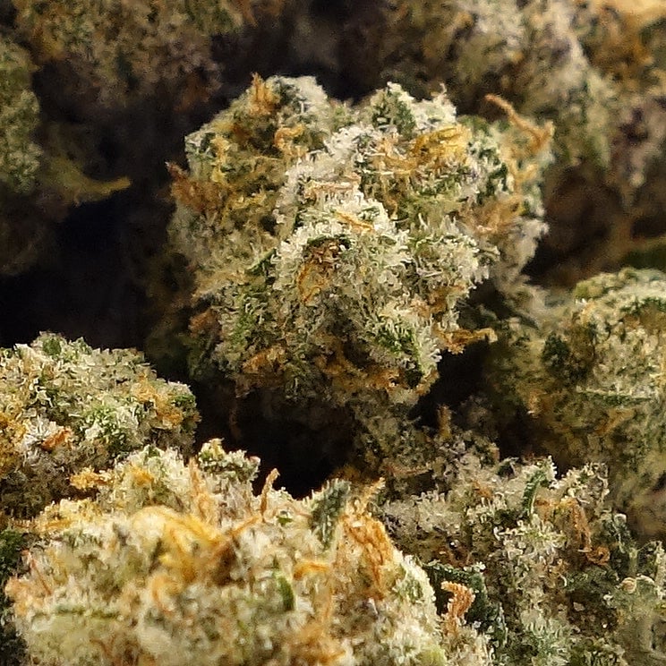 Fun Buds - Peanut Butter Rockstar (smalls) - Image 2