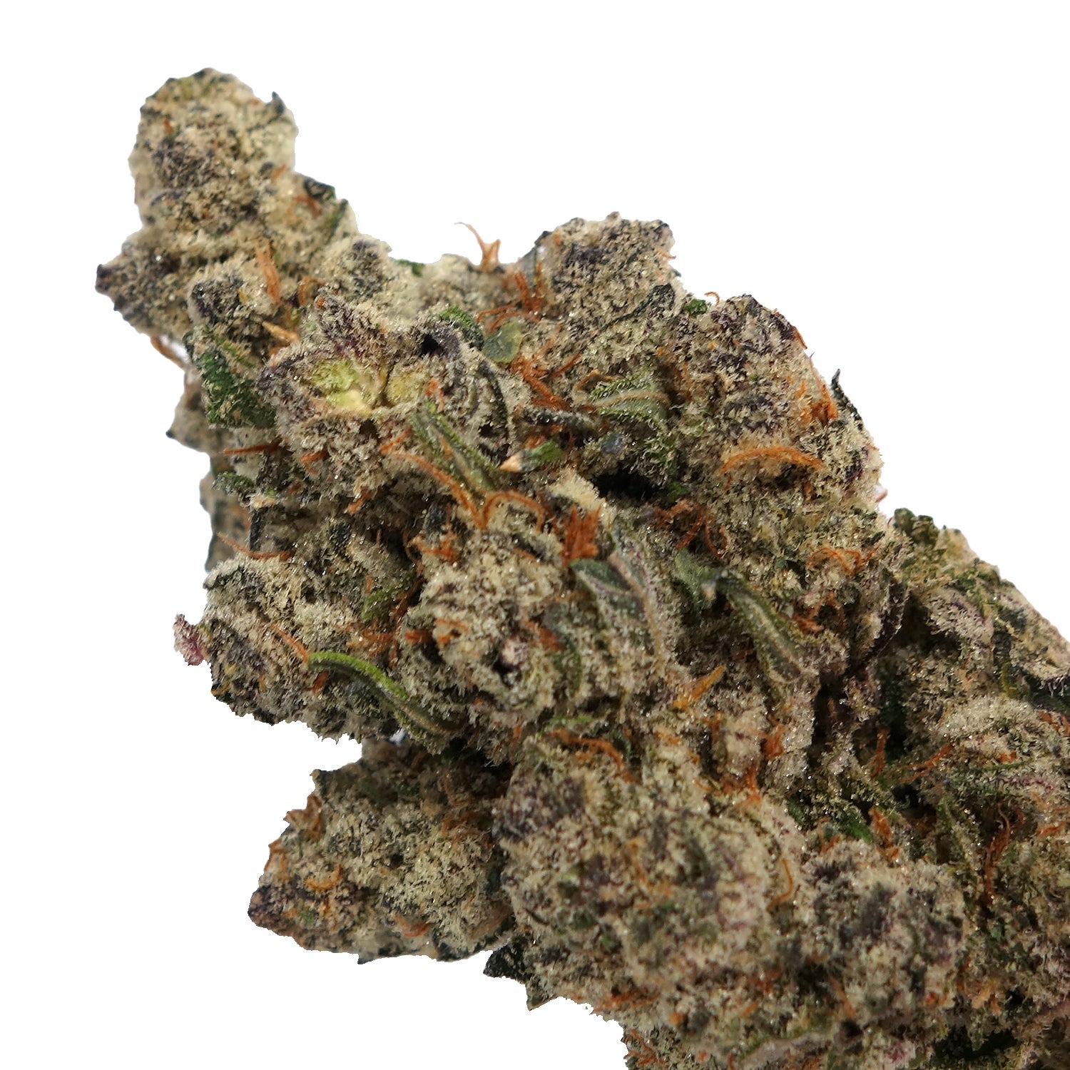 Jungle Ridge - Gas Runtz - Image 2