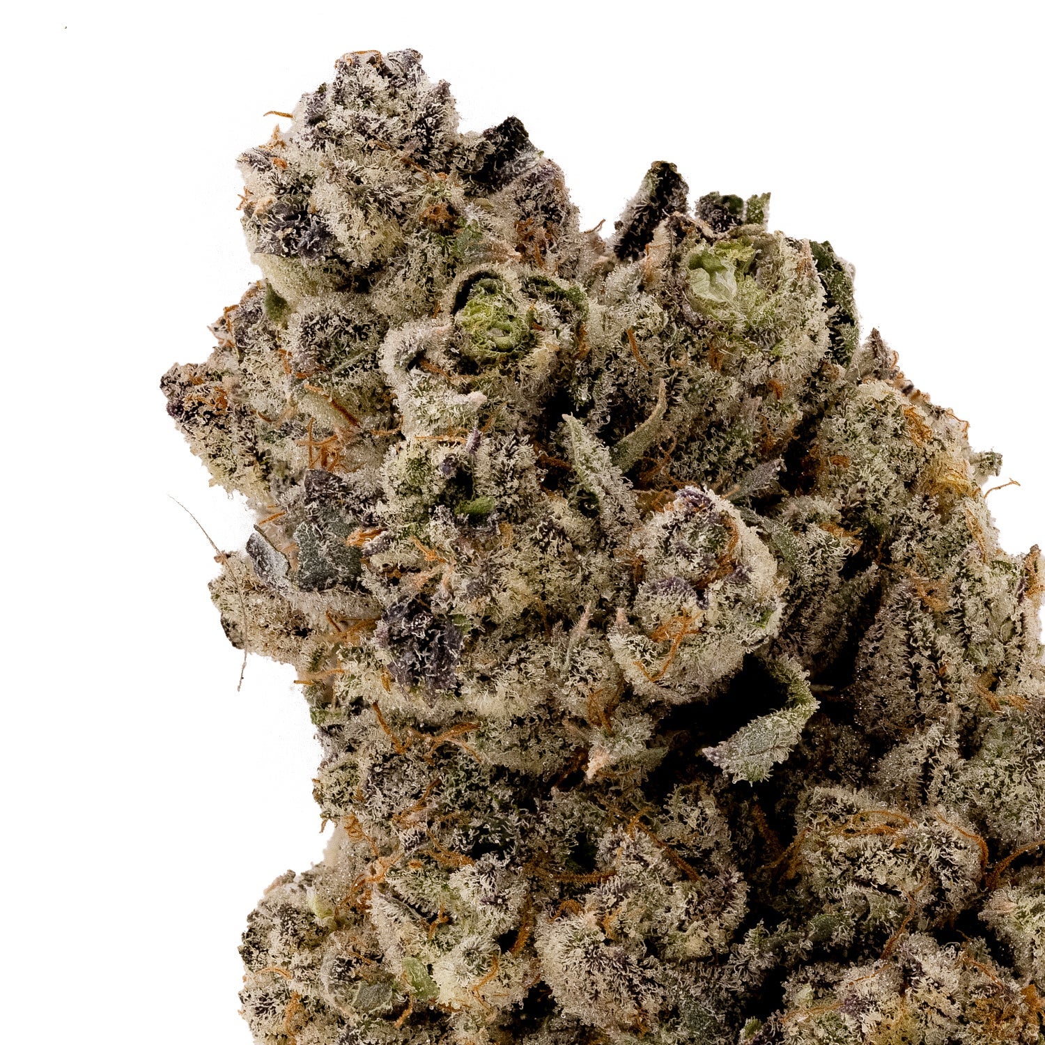 Hoot Cannabis - Alien Dawg - Image 5