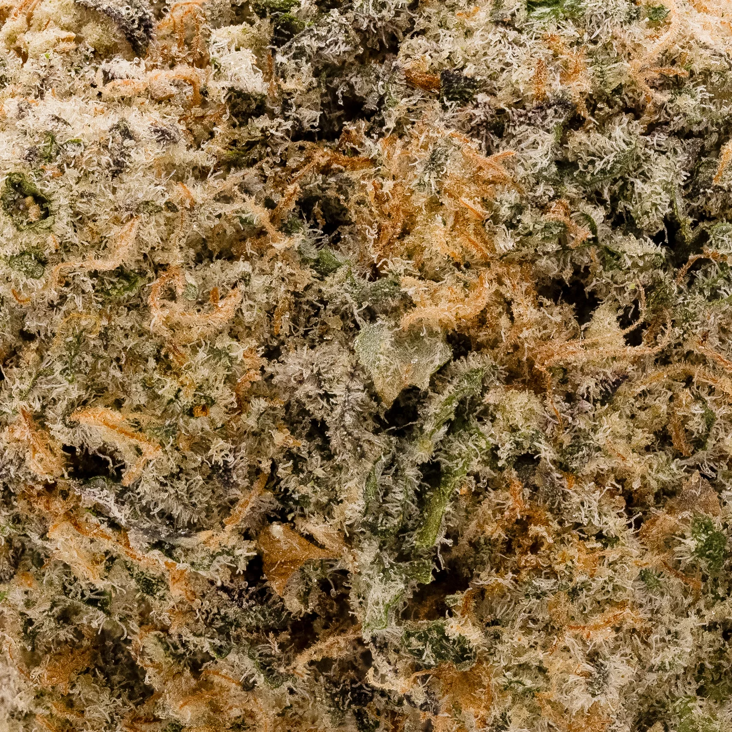 Lucky Farms - Inferno Mac 1 - Image 5