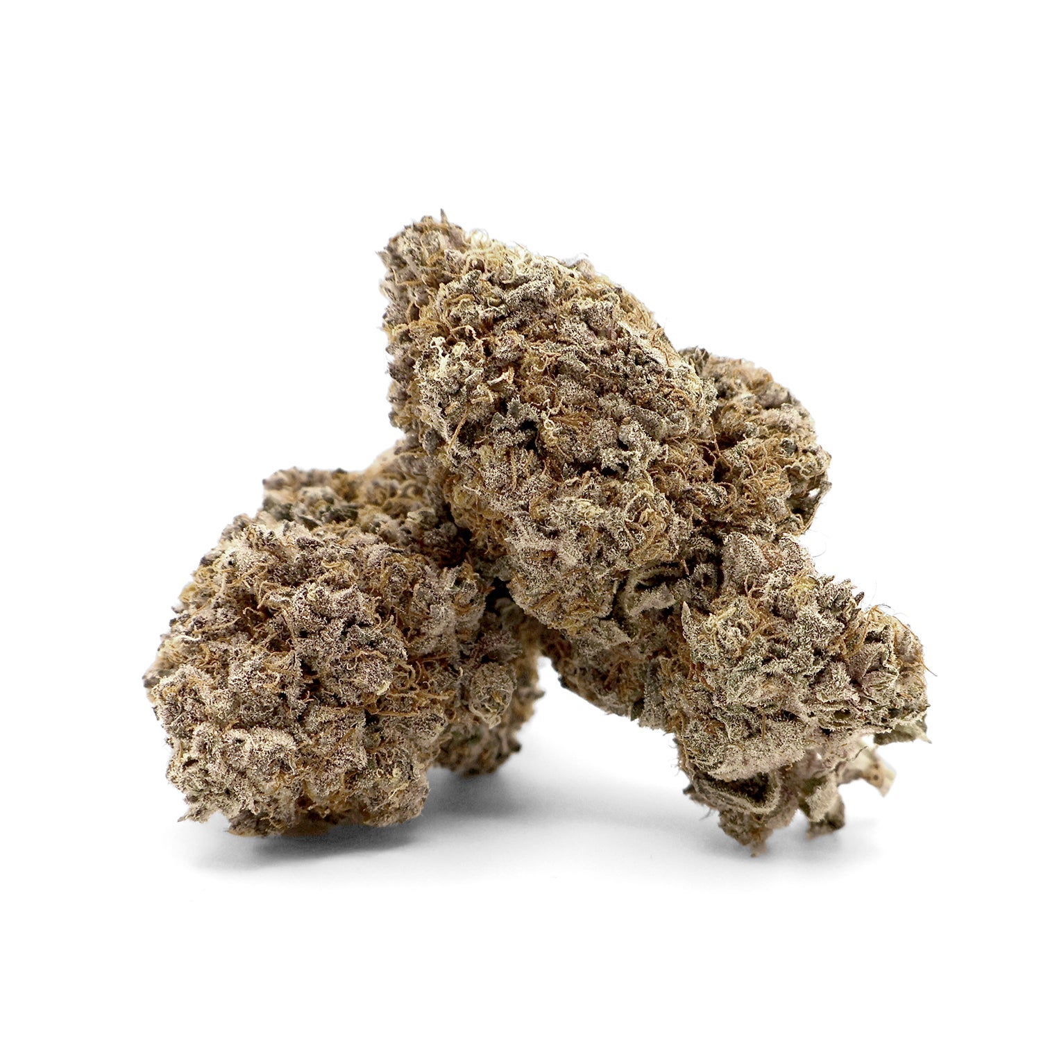 Jungle Ridge - Guava - Image 3