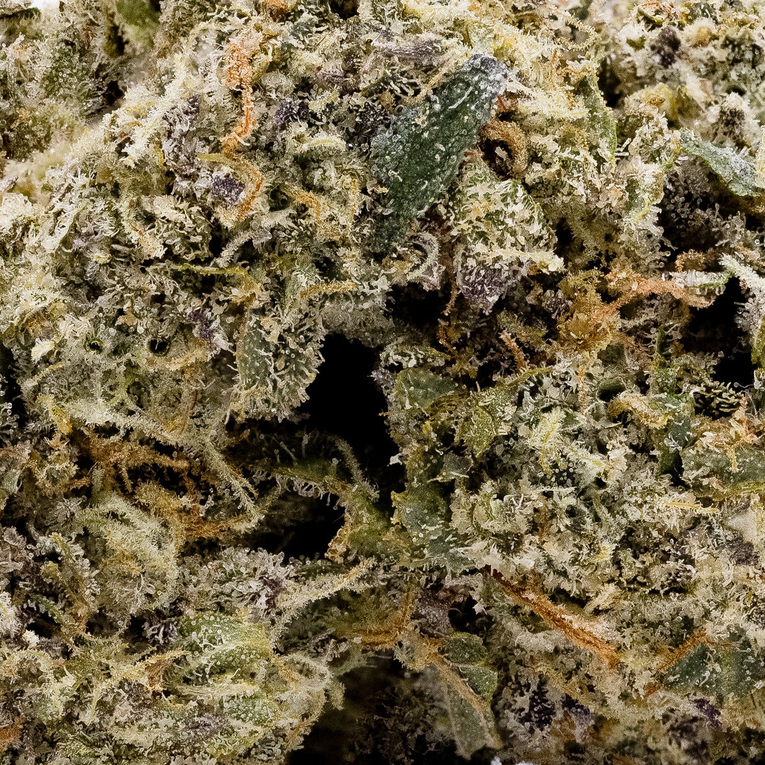 Hoot Cannabis - Mad Dawg - Image 5