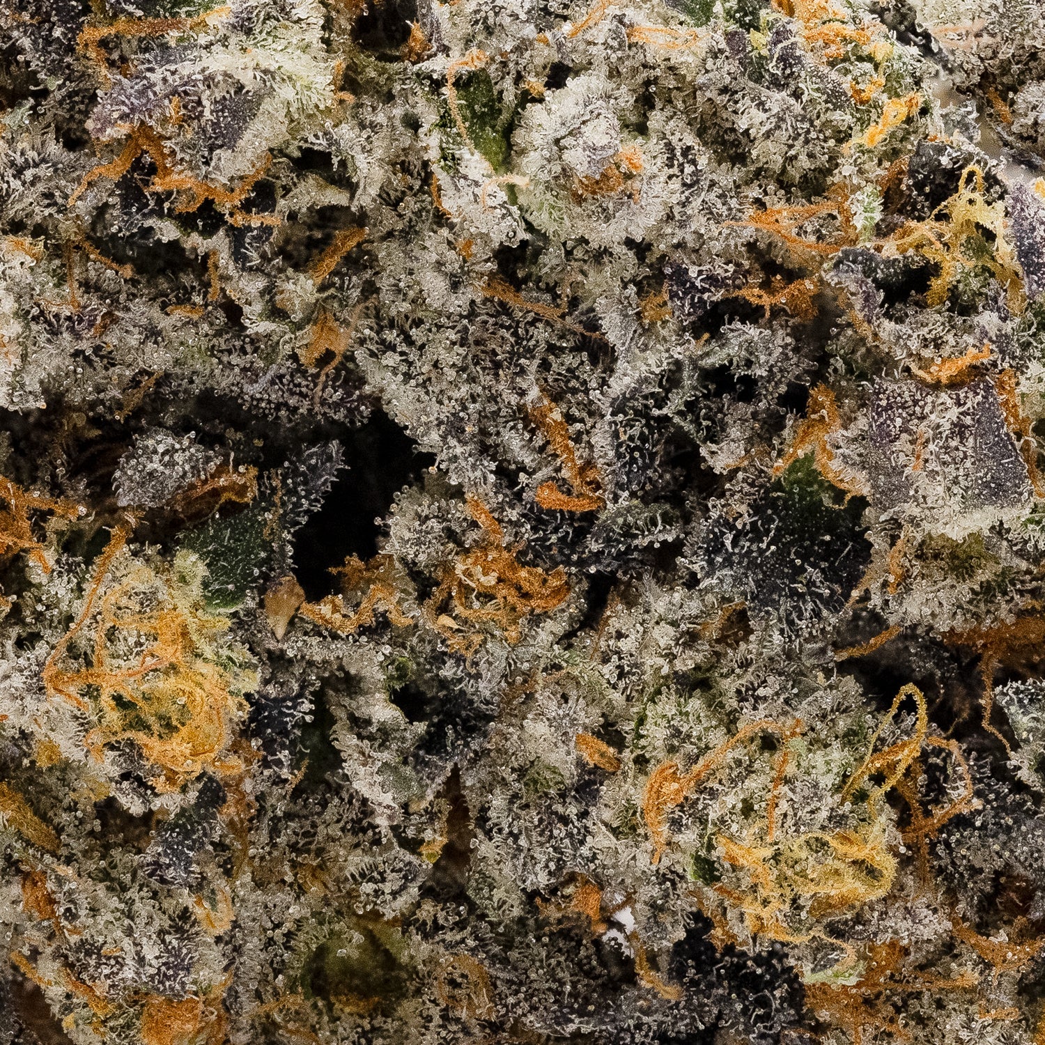 Hoot Cannabis - Space Candy - Image 4