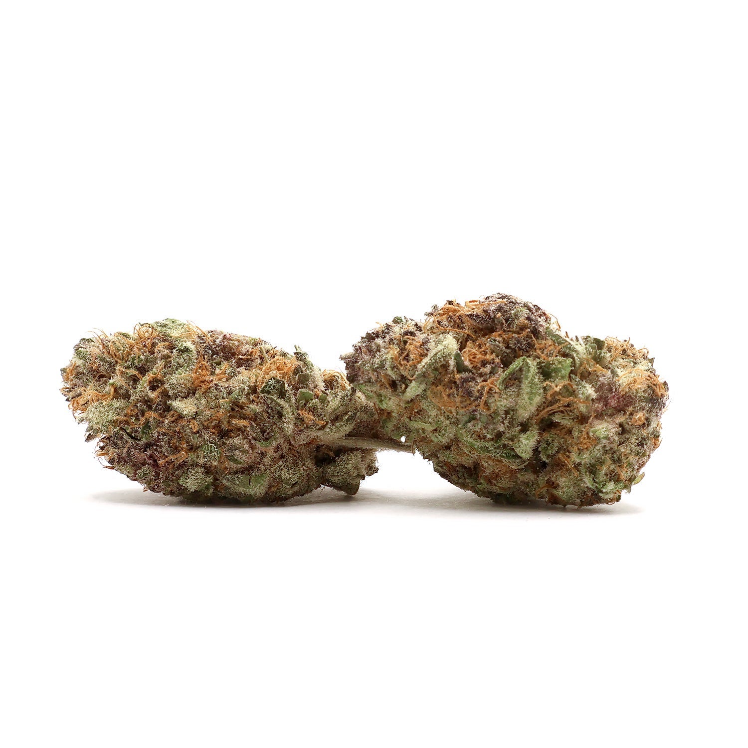 Jungle Ridge - Super Boof - Image 3