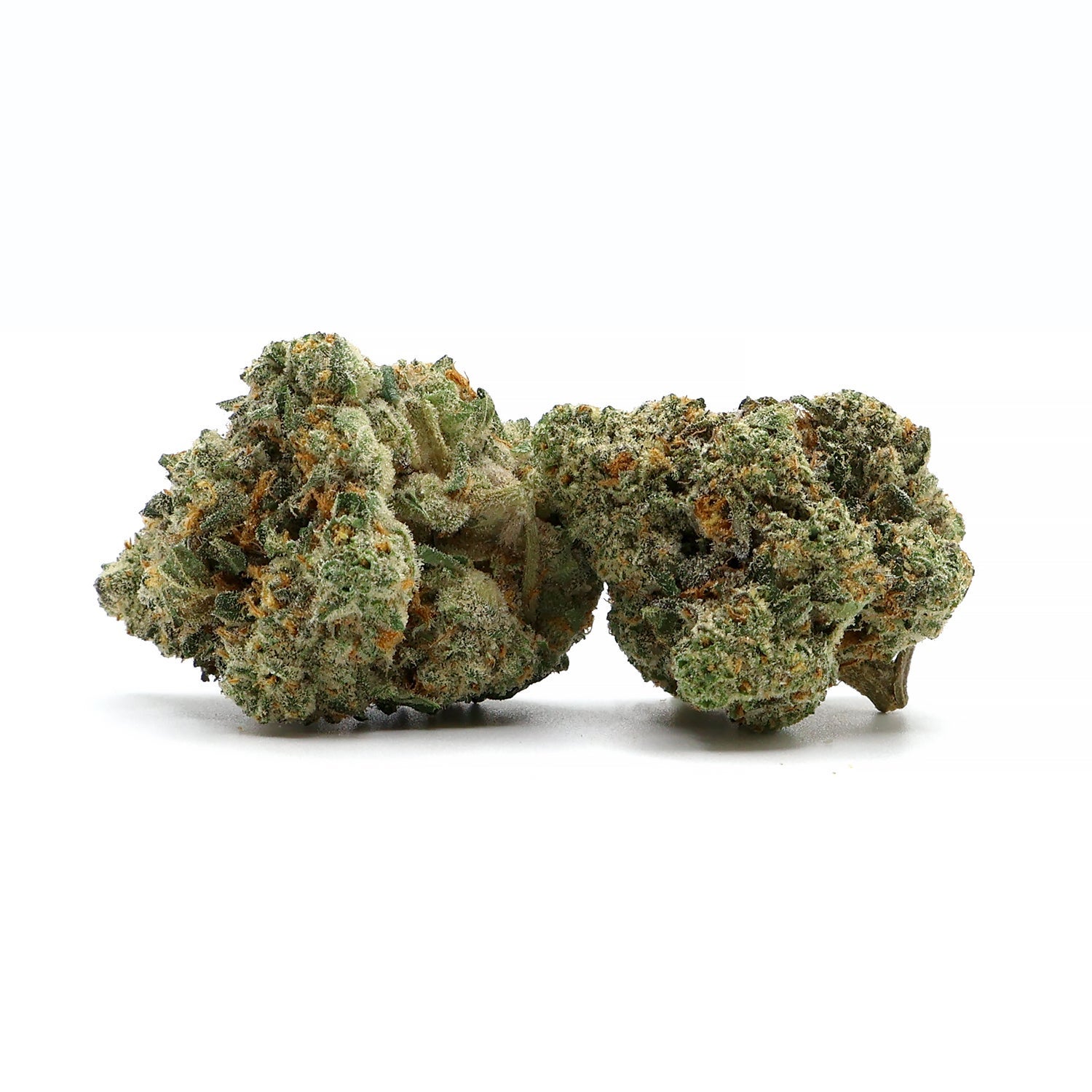 Albatross - Permanent Marker - Image 2