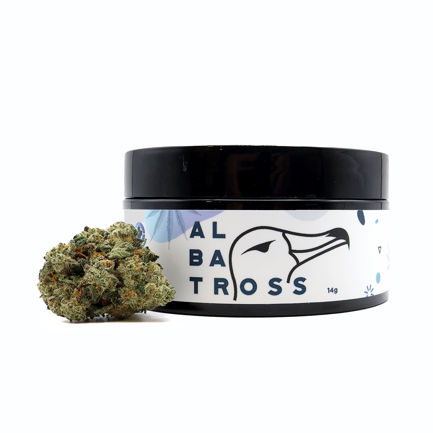 Albatross - Permanent Marker - Image 6