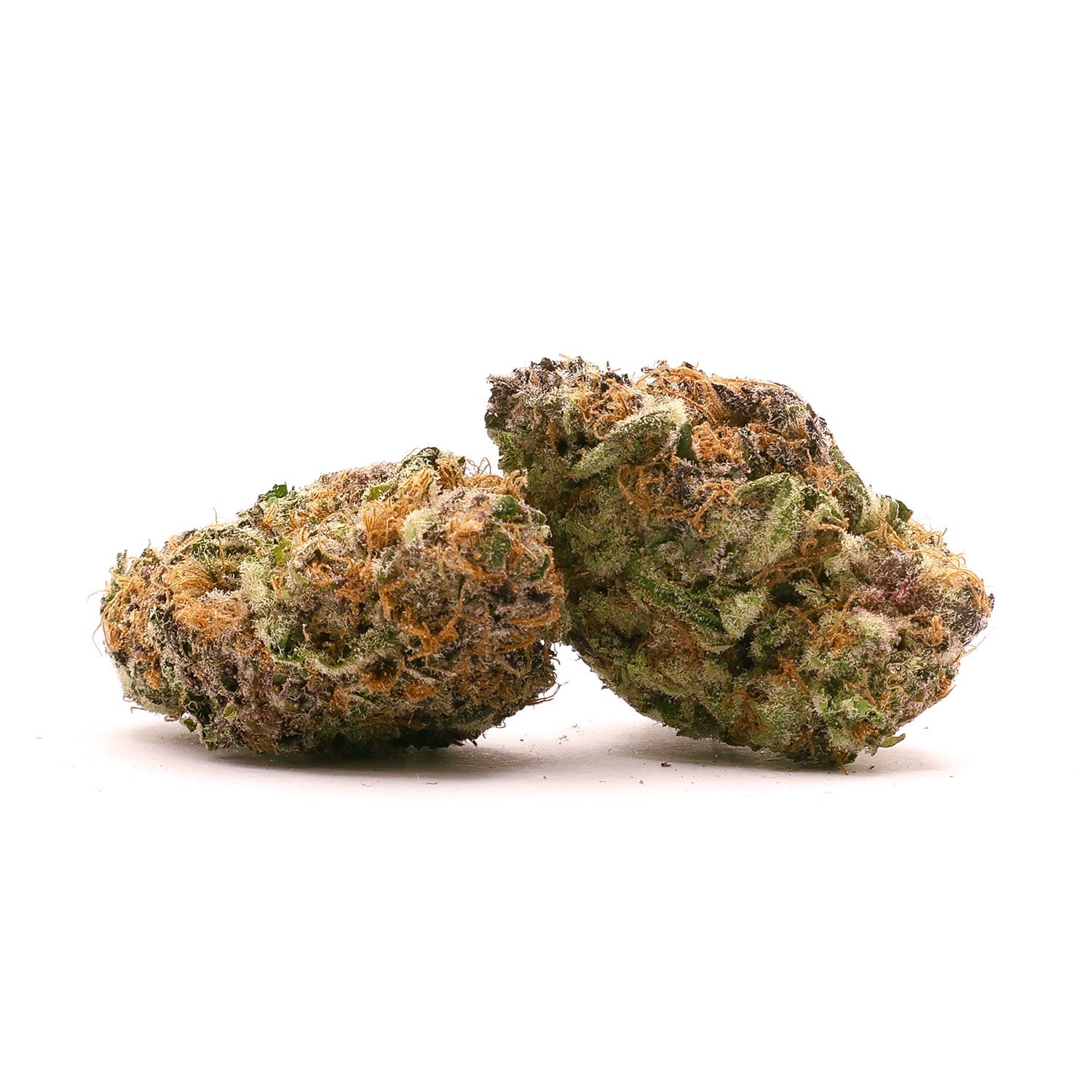 Jungle Ridge - Super Boof - Image 4