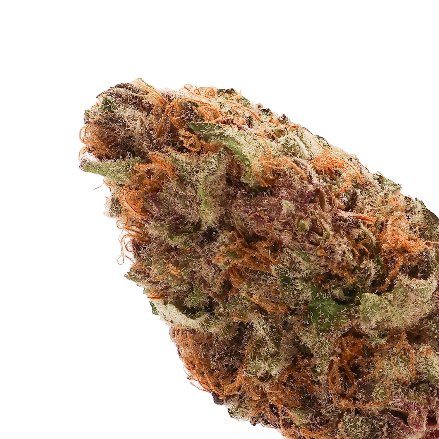 Jungle Ridge - Super Boof - Image 2