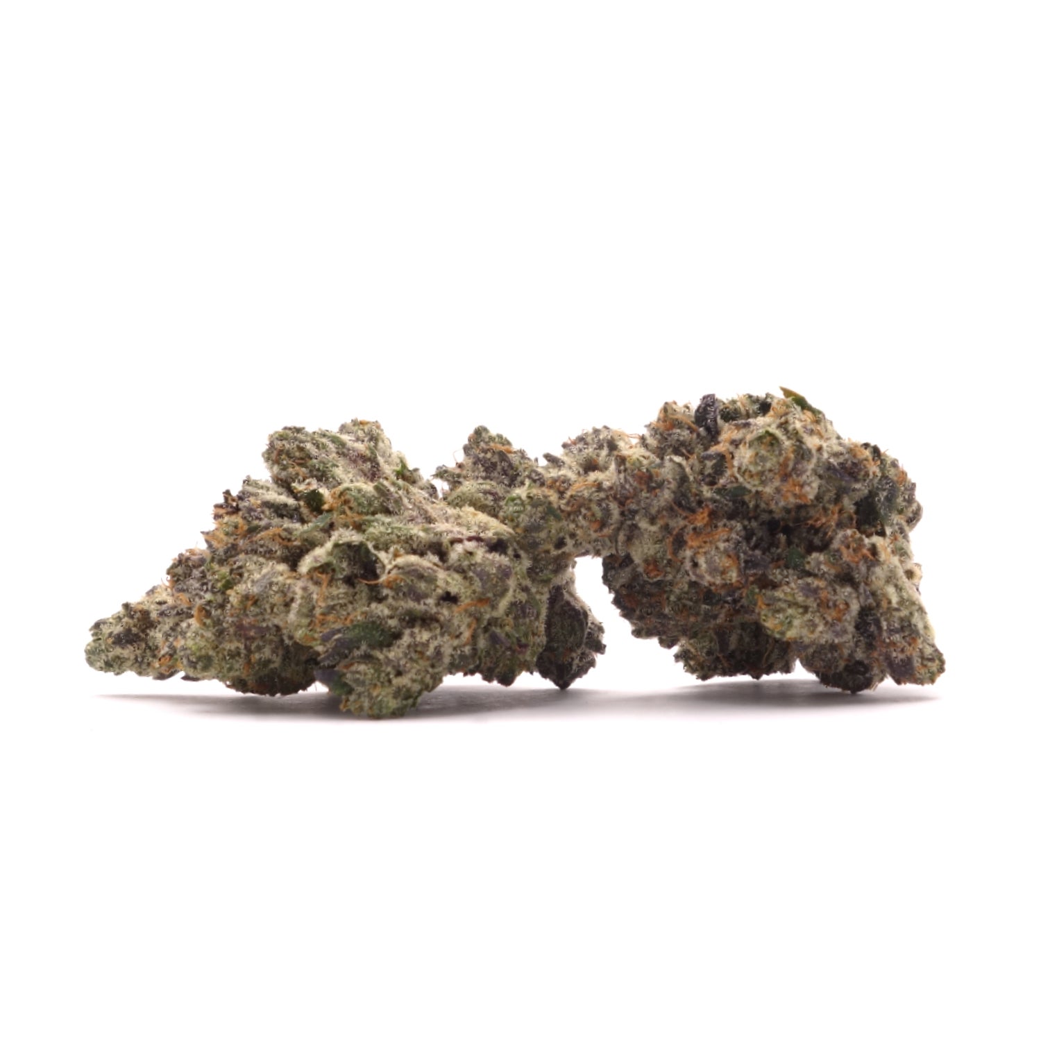 Albatross - Black Gas - Image 3